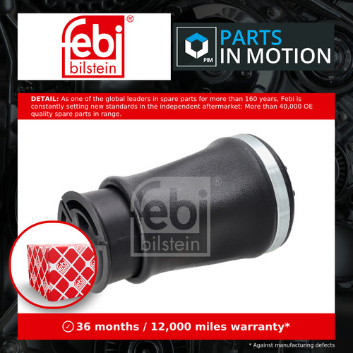 Air suspension spring - spring, rear